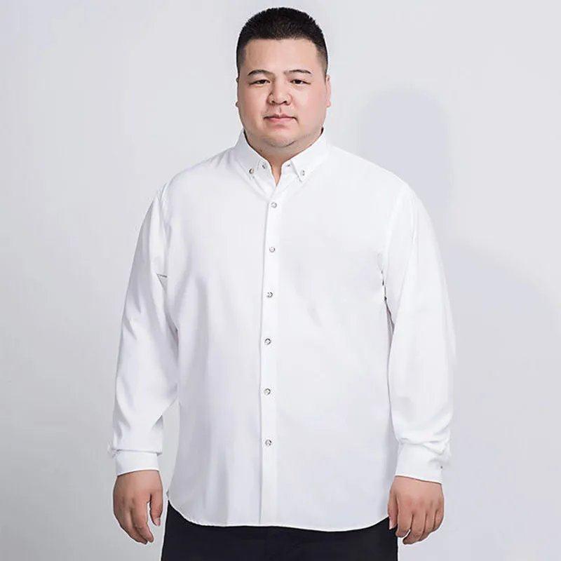 Button-Down Collar Oxford Shirt  | Mens  Shirts Clothing Mens